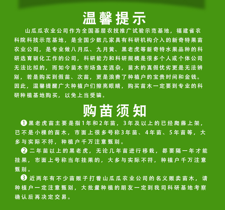 黑老虎苗木详情页_03.jpg