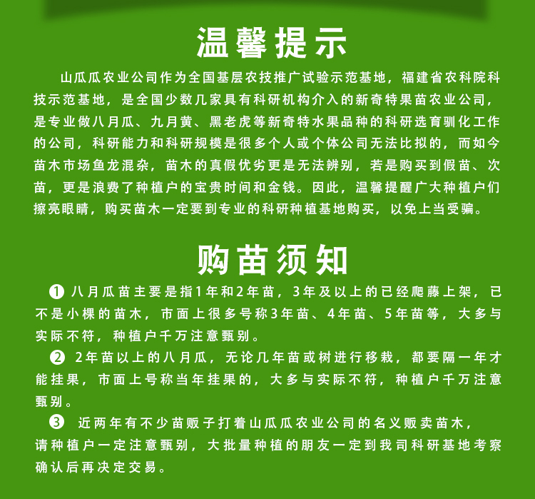 八月瓜苗 八月瓜苗