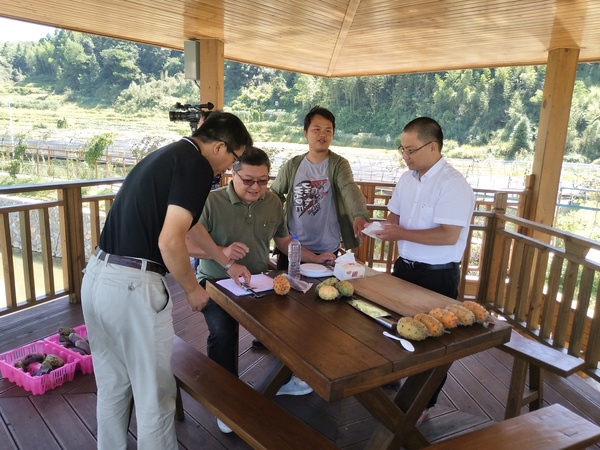 微信图片_20190922093847.jpg