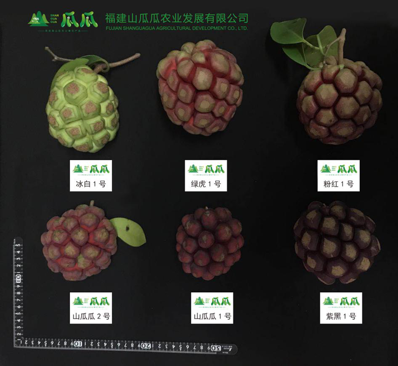 图片2.png