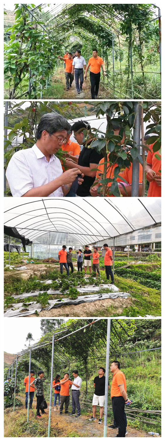 福建农林大学园艺学院院长陈清西到山瓜瓜科研基地进行科研指导